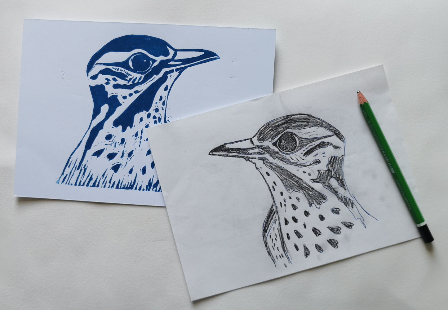 Linoprint Lijster (Reduction)