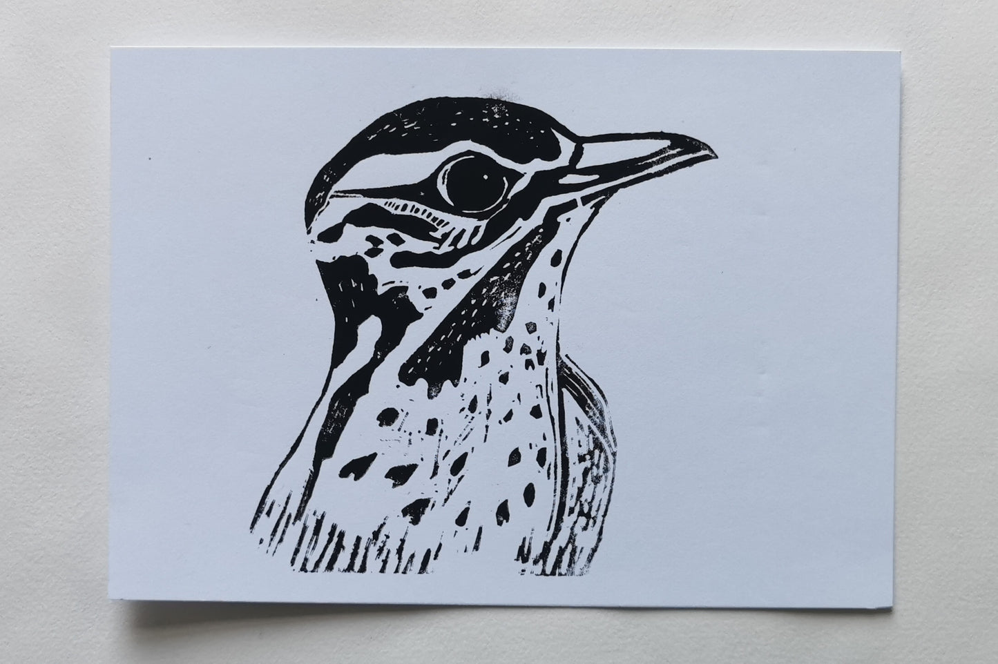Linoprint Lijster (Reduction)