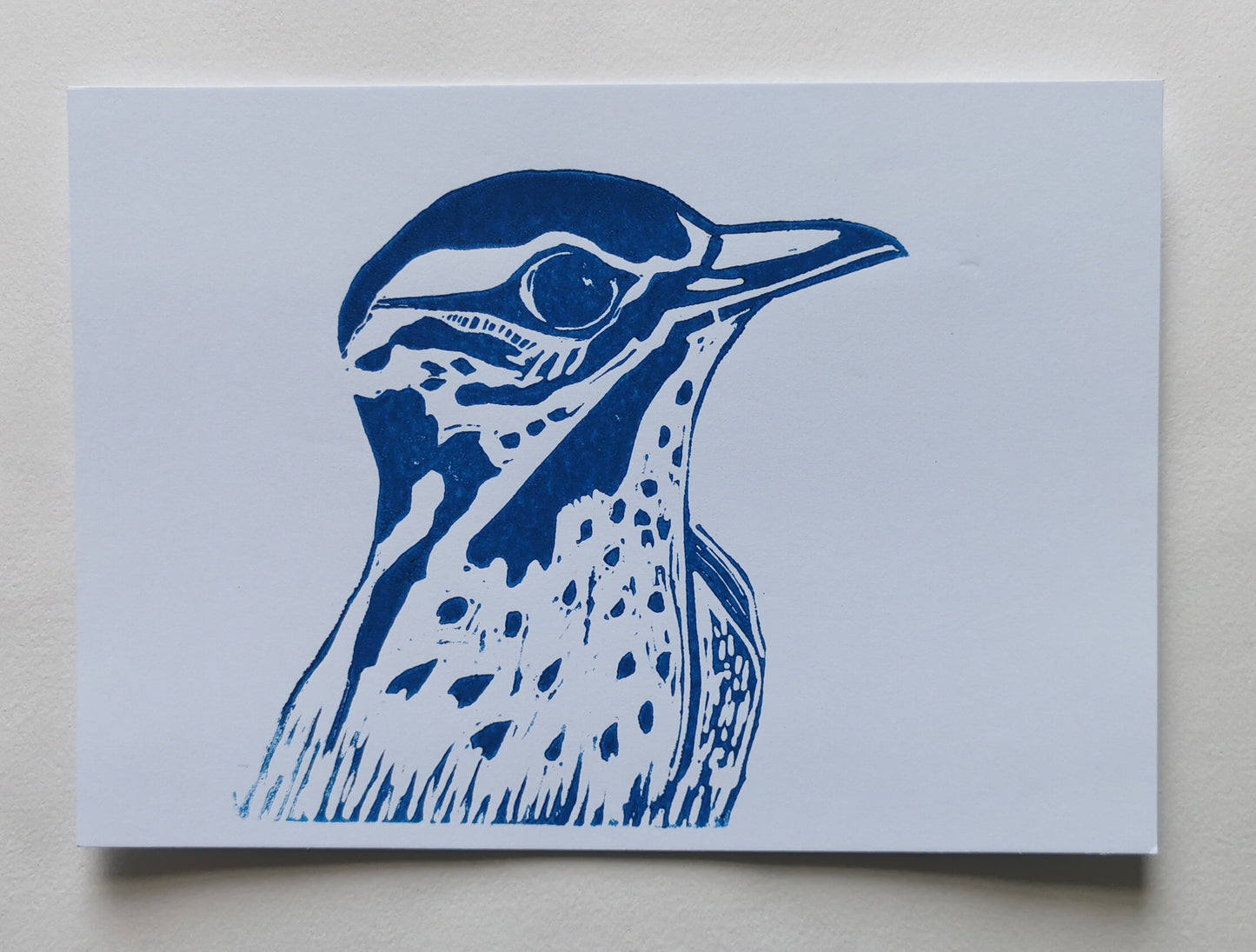 Linoprint Lijster (Reduction)