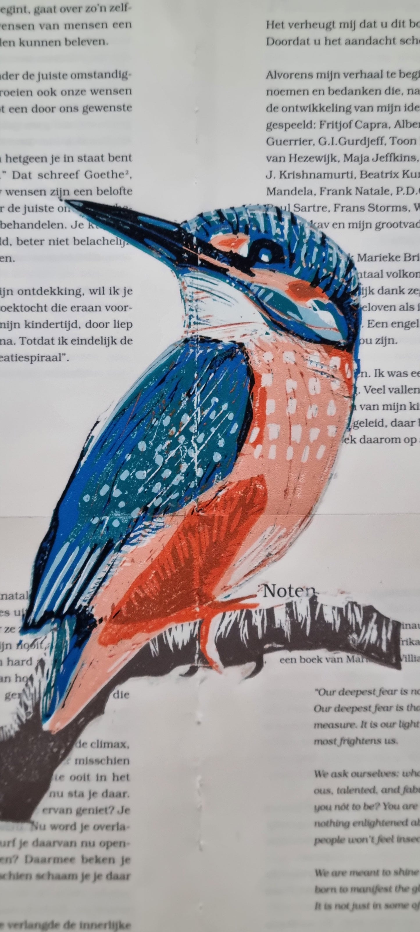 Ijsvogel reductie in 10 kleuren