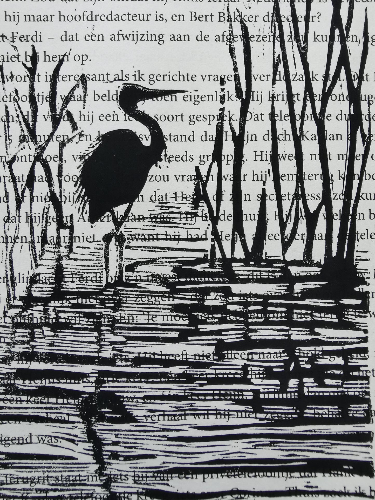 Reiger in het water