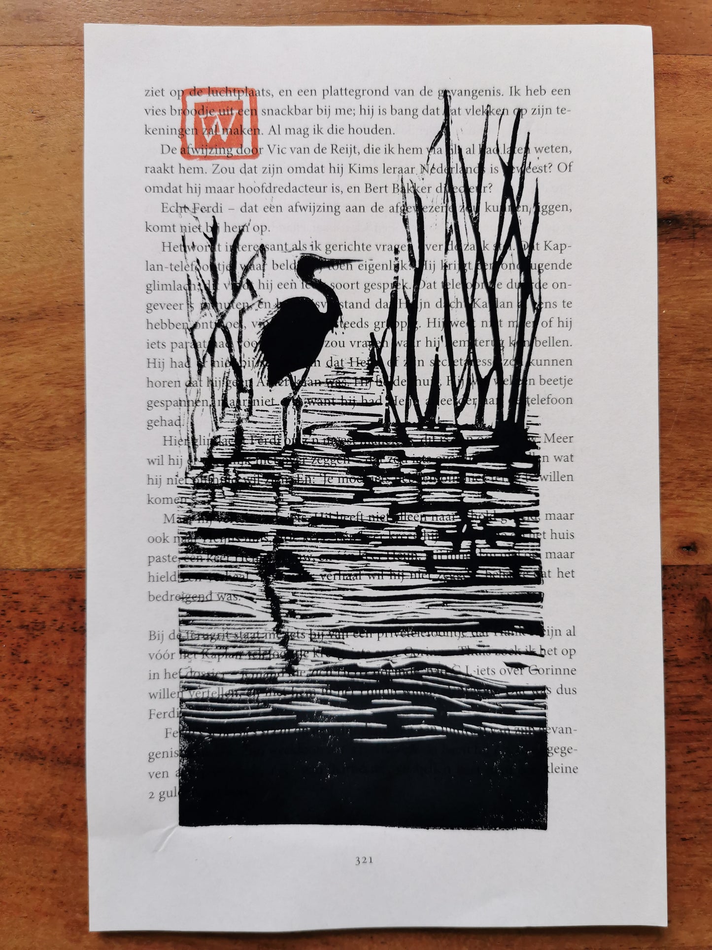 Reiger in het water