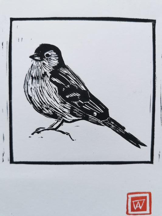 Linoprint Vink - mannetje
