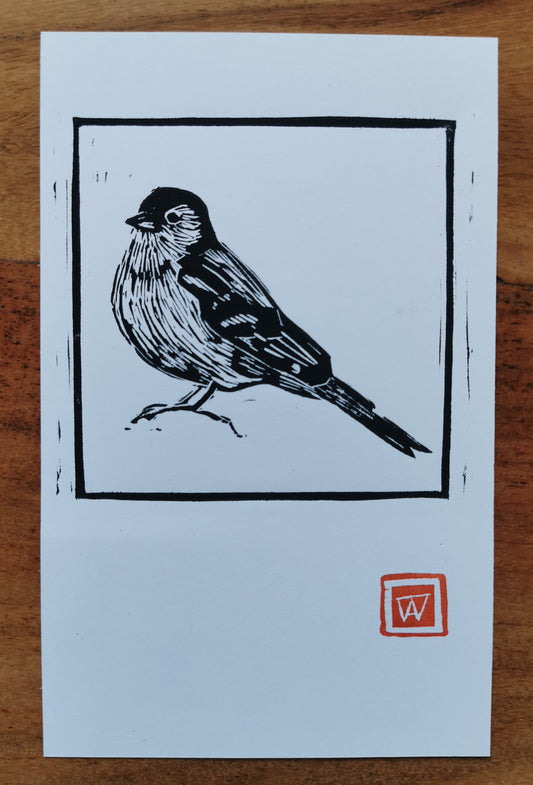 Linoprint Vink - mannetje