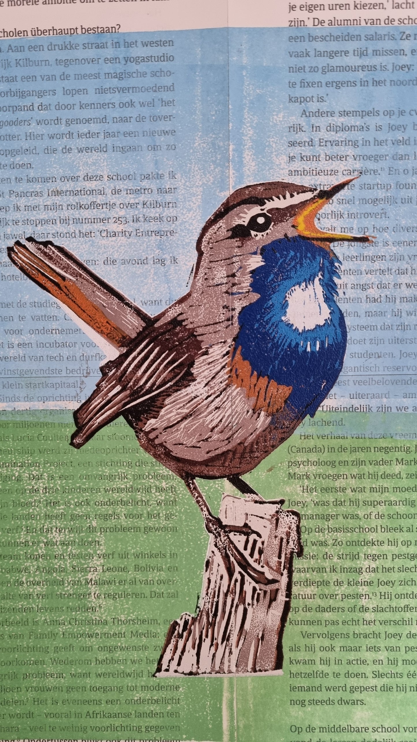 Blauwborst reductie in 11 kleuren