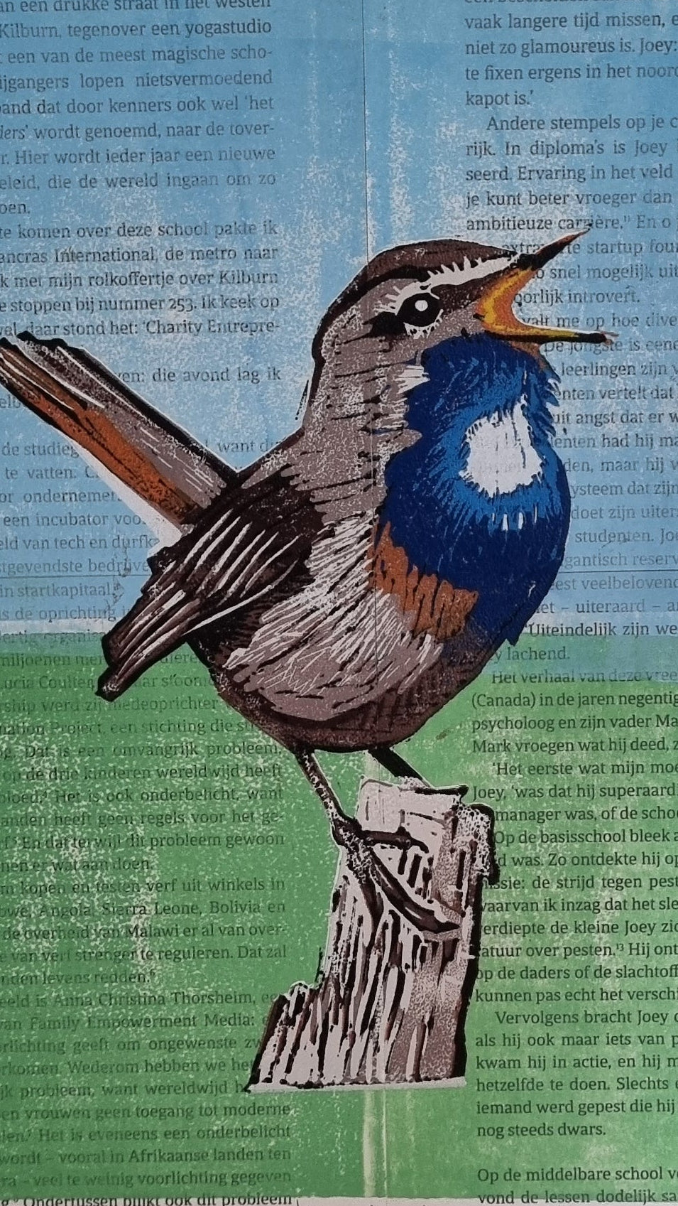 Blauwborst reductie in 11 kleuren