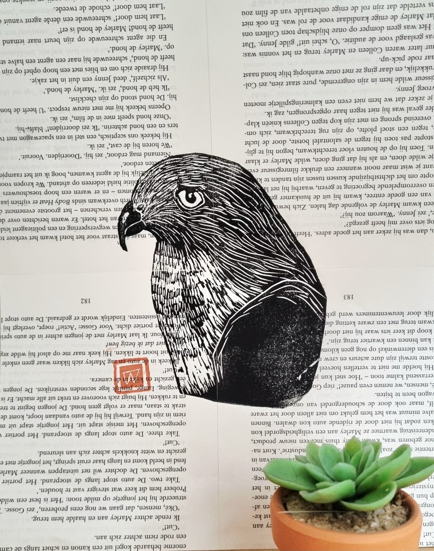 Linoprint Sperwer