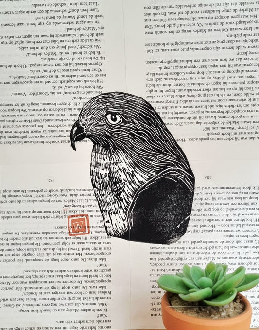 Linoprint Sperwer