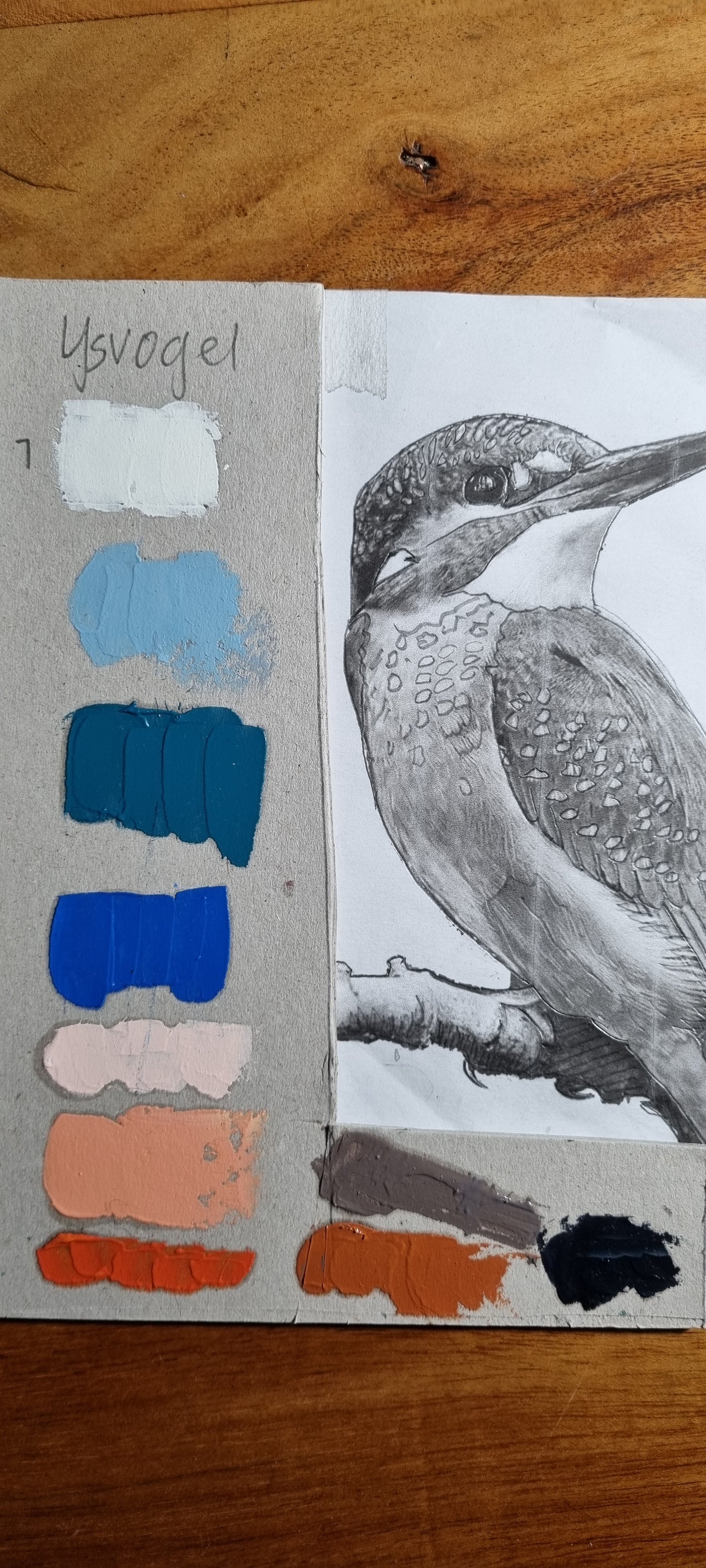 Ijsvogel reductie in 10 kleuren